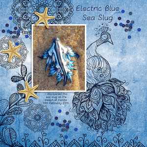 MOC9_Day16_Using Doodle Art_Sea Slug