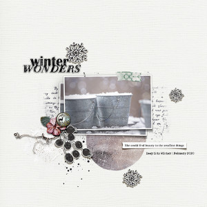 winter wonders