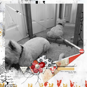 MOC#9 Day 13 In A Mirror Challenge :: Quintessential You