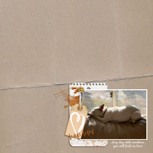 Afternoon_Nap_MOC15