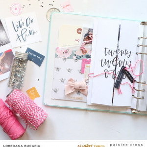 Paislee_FarewellHello_projectbyLoredanaBucaria_1