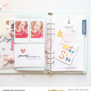 Paislee_FarewellHello_projectbyLoredanaBucaria_2
