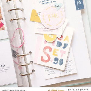 Paislee_FarewellHello_projectbyLoredanaBucaria_3