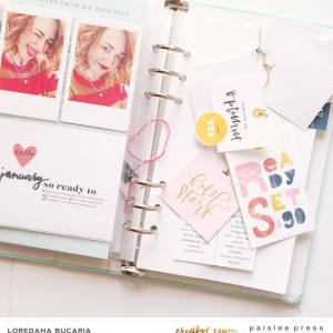 Paislee_FarewellHello_projectbyLoredanaBucaria_4