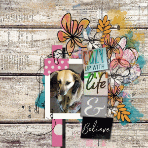 January-18_CombineTwoTemplates_cozy