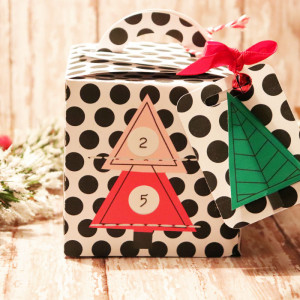 Christmas Treat Box