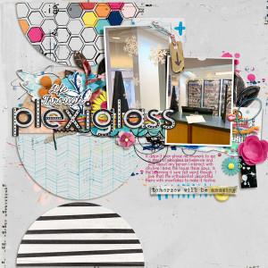 Day 20 - Life Through Plexiglass