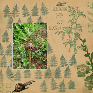 STAMPED-19