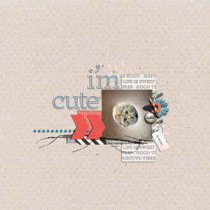 MOC9-20-photography-bitti-copy