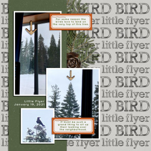 JANUARY 19 - CREATE A STAMPED BACKGROUND