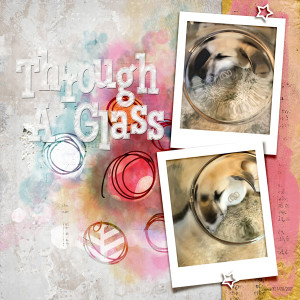 January 20_Photography Challenge_throughaglass