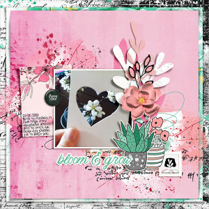 Bloom & grow