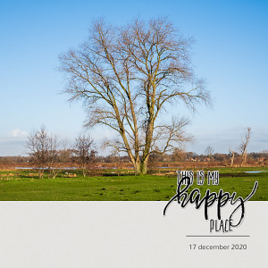 21-01_Soco_MemoriesVol4-copy