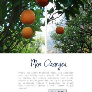 Mon Oranger