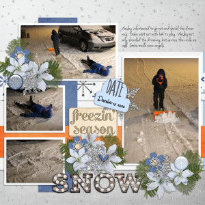Wesley-shoveling