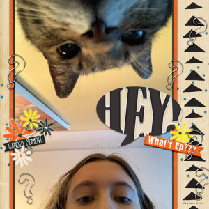 HEY!