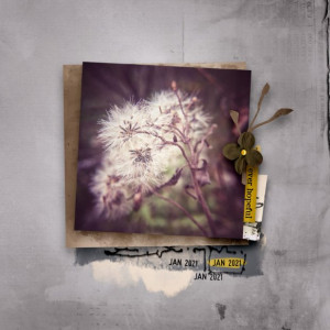 EverHopeful