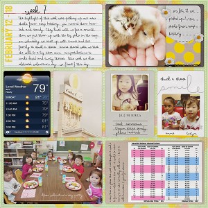 project life week 7