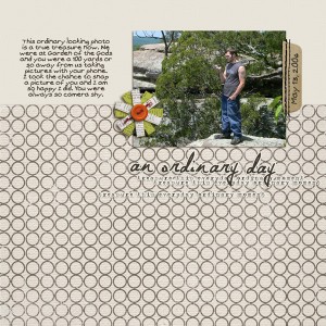 Ordinary Day