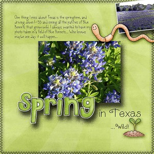 Blue Bonnets
