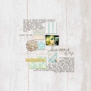 Seasons of Life