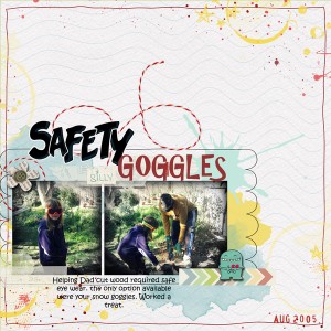 Safety Goggles