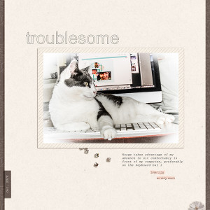 Troublesome