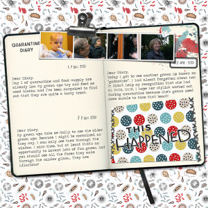 Quarantine Diary