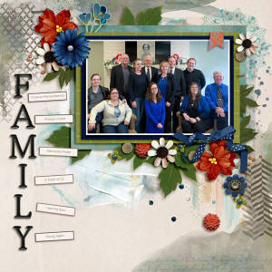 MOC 9.17 Family