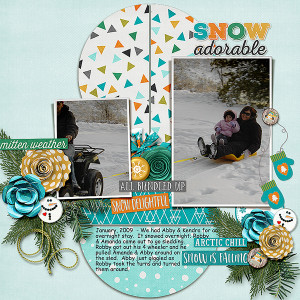 01.09 Abby - Snow Delightful
