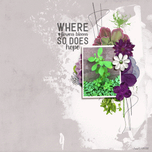 January-24_Color-Wheel-Complementary-Colors_where-flowers-bloom