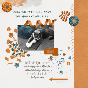 MOC9 Day 24 Color Wheel/Complementary Colors Cat and Dog