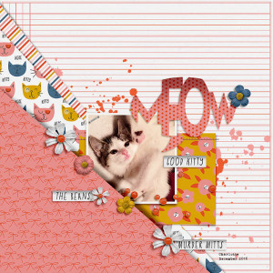 meow