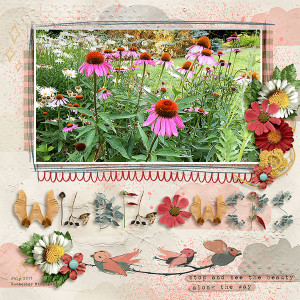 wild flowers