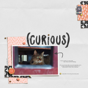 20: Curious