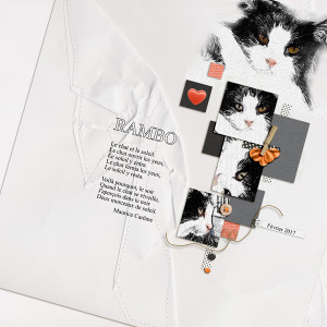 January-25-Design-on-an-Angle