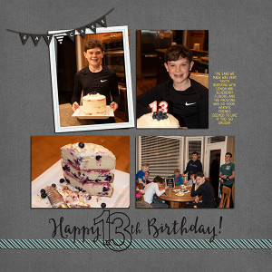 MOC 21 Heath's Birthday Cake