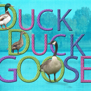 Jan-26-Large-Title-Challenge--Duck,-Duck,-Goose
