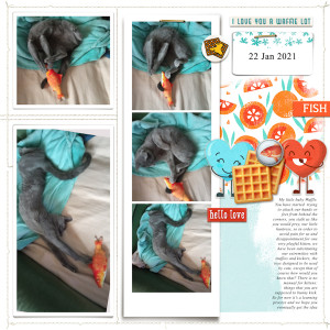 210122_cat Fish