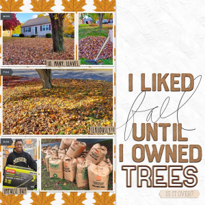 So. Many. Leaves.