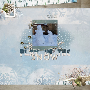 Play in the Snow