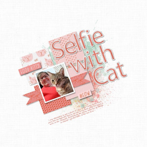 MOC 9-25 Selfie With Cat