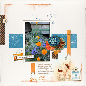 Color Wheel - Day 24