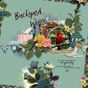 TLP_Day-27_Fill-a-template_Backyard-Wings