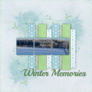 Winter Memories