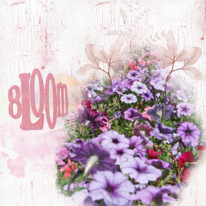MOC 9-22 Bloom