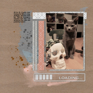 201028_cat Waiting