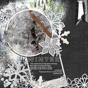 Winter_Woods_MOC27