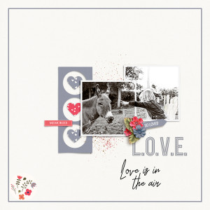 Love is in the air