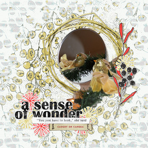 Sense Of Wonder